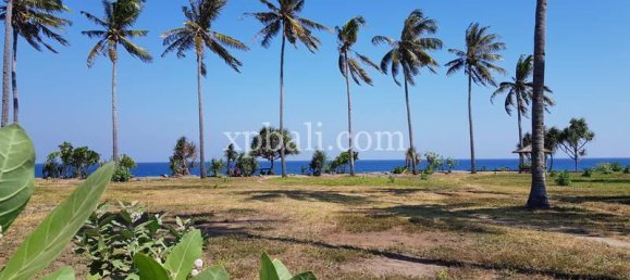 Terrain à West Nusa Tenggara, Indonesia 2400m² No. 3905 8