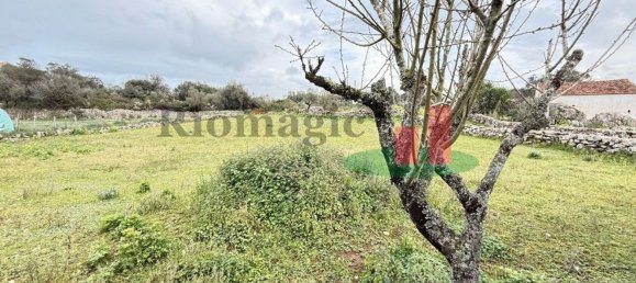 2 chambres Maison à Alcobertas, Portugal No. 86211 34