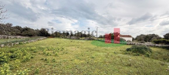 2 chambres Maison à Alcobertas, Portugal No. 86211 31