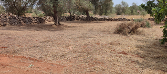 Grundstück in Corigliano d'Otranto, Italy 13700m², Nr. 293524 4