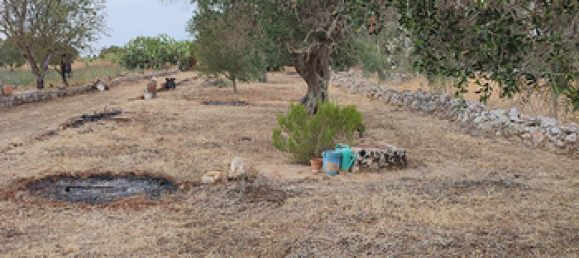 Grundstück in Corigliano d'Otranto, Italy 13700m², Nr. 293524 2