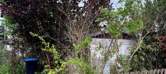 2 غرف نوم قطعة أرض في Oder-Spree, Germany رقم 264314 2