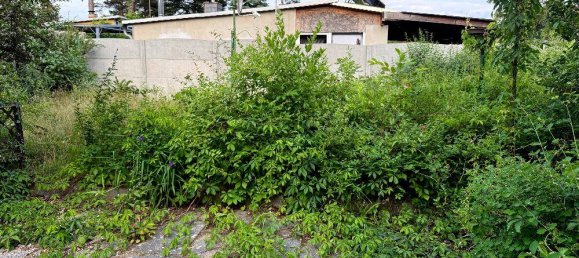 2 غرف نوم قطعة أرض في Oder-Spree, Germany رقم 264314 7