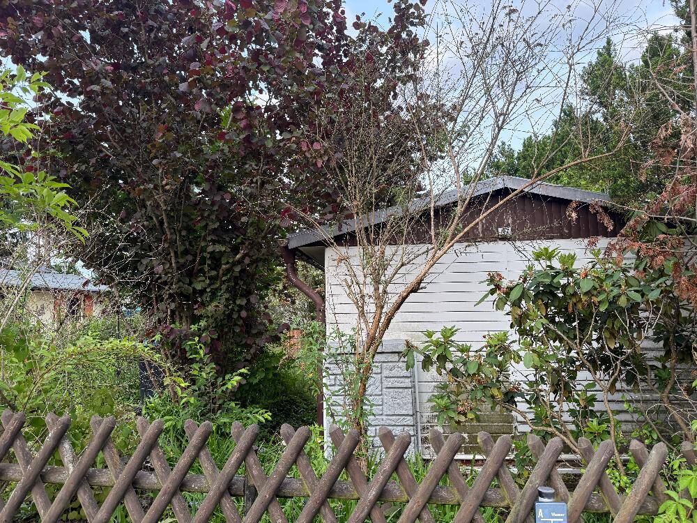 2 غرف نوم قطعة أرض في Oder-Spree, Germany رقم 264314