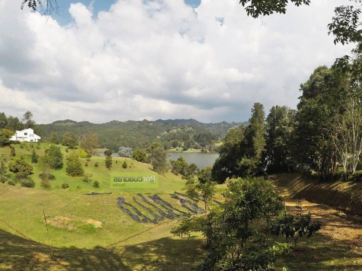  Land in Antioquia, Colombia No. 517