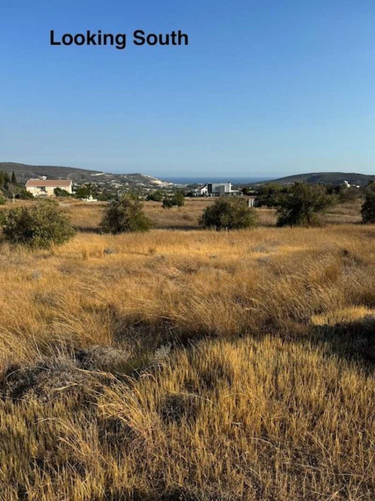 Hotel in Moni, Cyprus 4683m², Nr. 19617