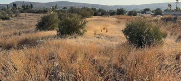 Hotel in Moni, Cyprus 4683m², Nr. 19617 2