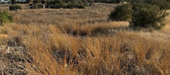 Hotel in Moni, Cyprus 4683m², Nr. 19617 4