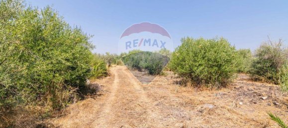 Casa T1 em Belpasso, Italy N.º 320363 24