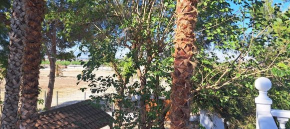 5 bedrooms Villa in Orihuela, Spain No. 13666 27