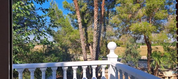 5 bedrooms Villa in Orihuela, Spain No. 13666 25