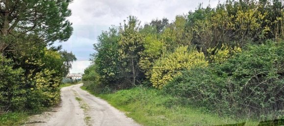 108507m² Land in Montijo, Portugal No. 112053 44