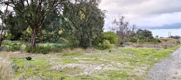 108507m² Land in Montijo, Portugal No. 112053 6