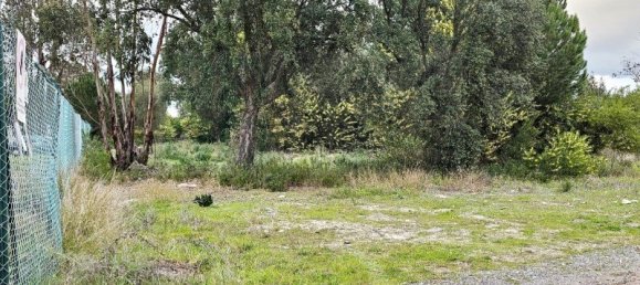 108507m² Land in Montijo, Portugal No. 112053 10