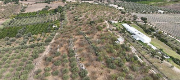 2-Zimmer Haus in Noto, Italy, Nr. 234861 2