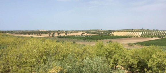 2-Zimmer Haus in Noto, Italy, Nr. 234861 17