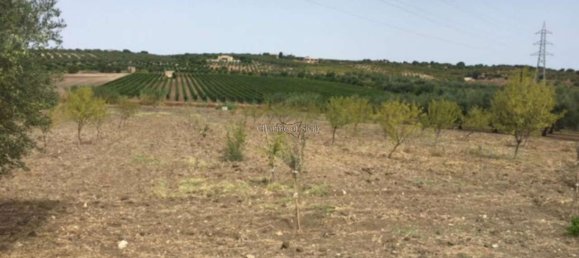 2-Zimmer Haus in Noto, Italy, Nr. 234861 18