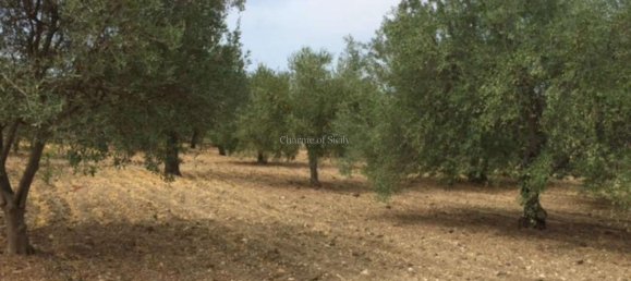 2-Zimmer Haus in Noto, Italy, Nr. 234861 16