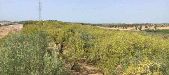 2-Zimmer Haus in Noto, Italy, Nr. 234861 21