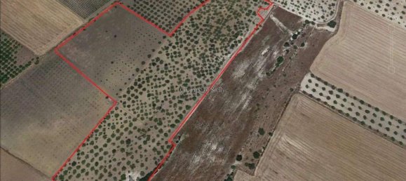 2-Zimmer Haus in Noto, Italy, Nr. 234861 7