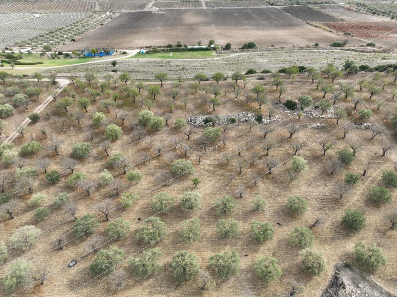 2-Zimmer Haus in Noto, Italy, Nr. 234861