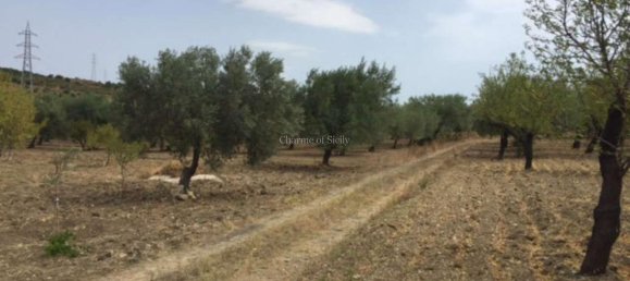 2-Zimmer Haus in Noto, Italy, Nr. 234861 20