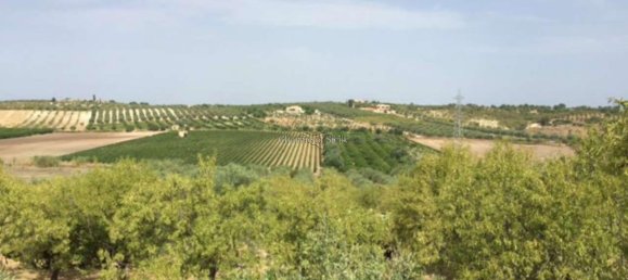 2-Zimmer Haus in Noto, Italy, Nr. 234861 22