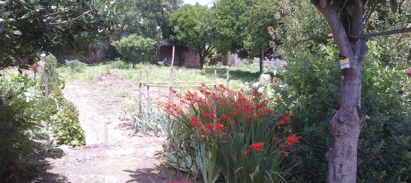 4 chambres Villa à Sangalhos, Portugal No. 34668 7