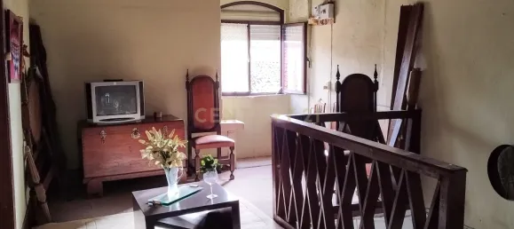 4 chambres Villa à Sangalhos, Portugal No. 34668 18