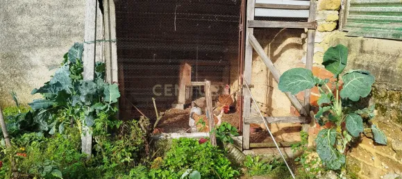 4 chambres Villa à Sangalhos, Portugal No. 34668 29