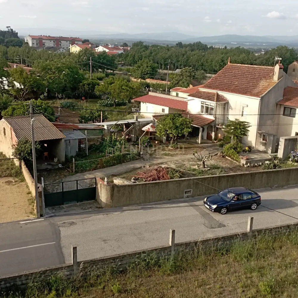 4 chambres Villa à Sangalhos, Portugal No. 34668