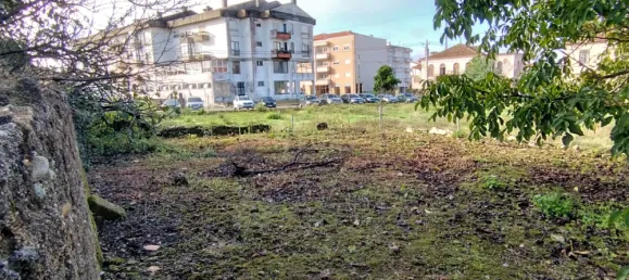 4 chambres Villa à Sangalhos, Portugal No. 34668 33