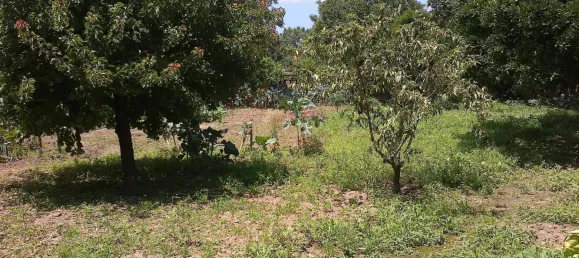 4 chambres Villa à Sangalhos, Portugal No. 34668 8