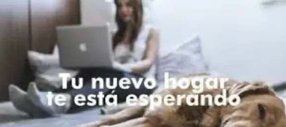 4 bedrooms Apartment in Lorca, Spain No. 171253 15