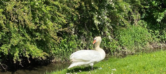 Casa de 5 dormitorios en Saint-Prest, France No. 61555 27