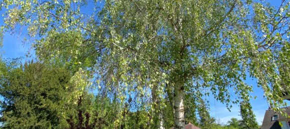 Casa de 5 dormitorios en Saint-Prest, France No. 61555 9