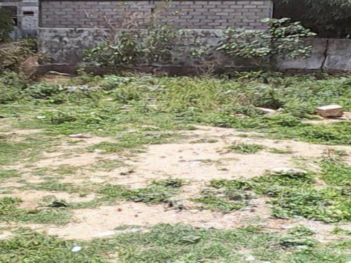 Terrain à Hyderabad, India No. 36838