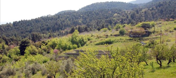 Property في Phthiotis, Greece 350متر مربع رقم 4465 8