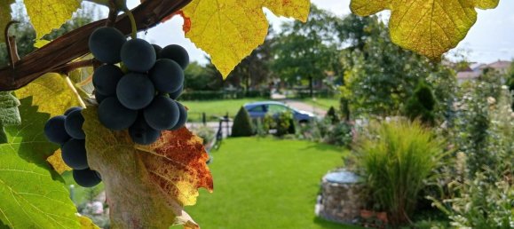 Таунхаус с 7 комнатами в Регенсбург, Германия № 295615 13