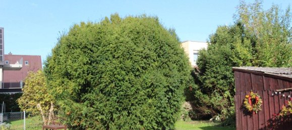 Terreno en Nuremberg, Germany No. 327546 5