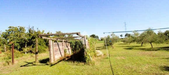 1 Schlafzimmer Wohnung in Gambettola, Italy, Nr. 301307 16