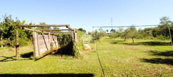 1 Schlafzimmer Wohnung in Gambettola, Italy, Nr. 301307 17