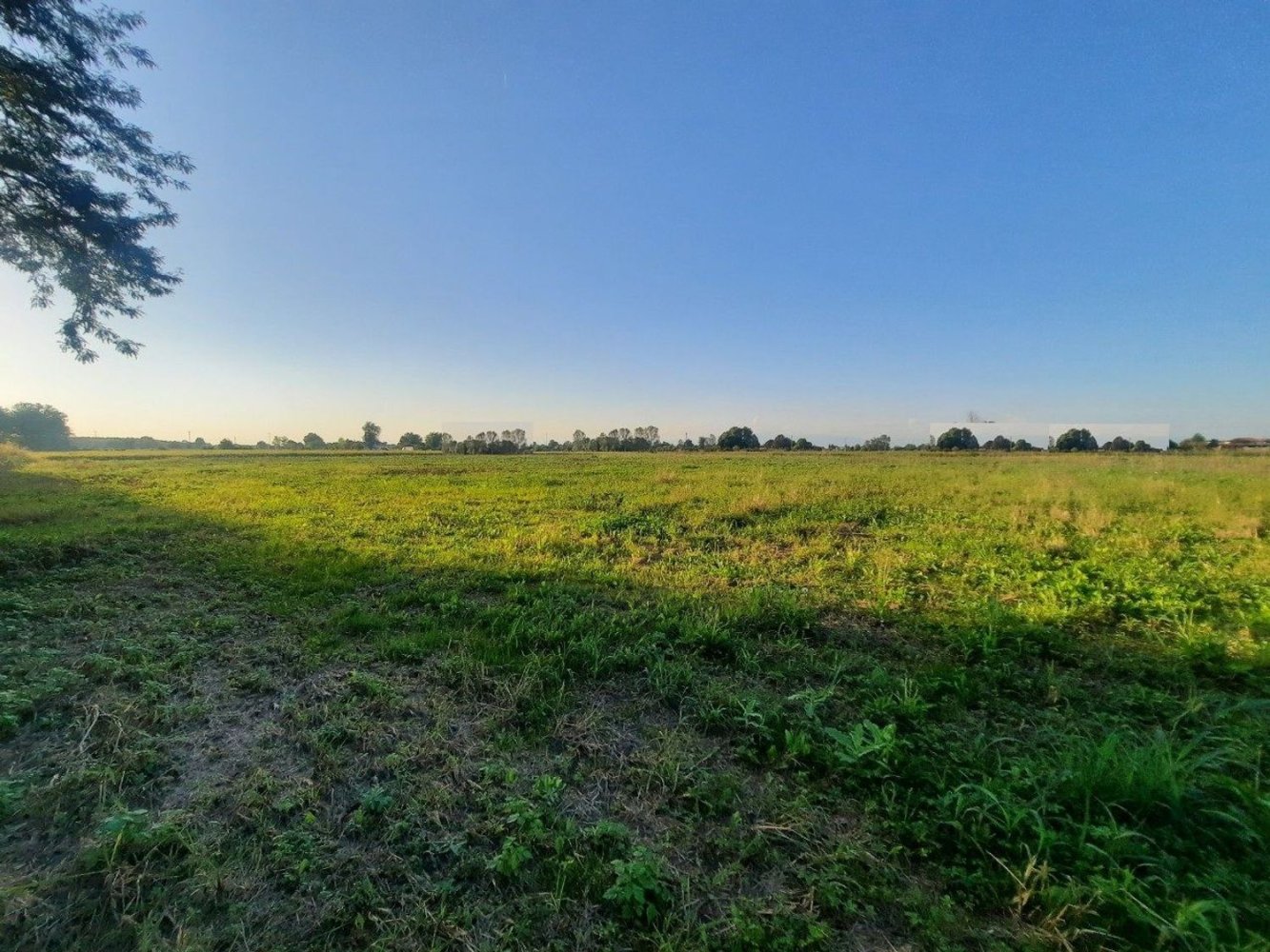 33315m² Land in Zero Branco, Italy No. 203991