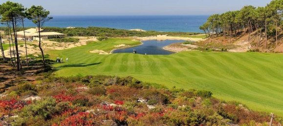 3850m² Land in Gaeiras, Portugal No. 146727 18