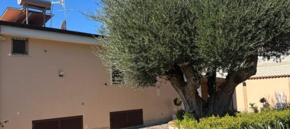 6-Zimmer Villa in Torre Orsaia, Italy, Nr. 81661 2