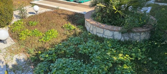 6-Zimmer Villa in Torre Orsaia, Italy, Nr. 81661 5