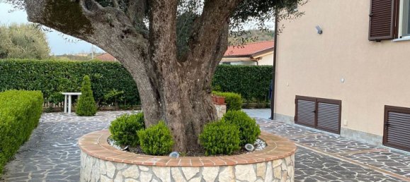 6-Zimmer Villa in Torre Orsaia, Italy, Nr. 81661 15