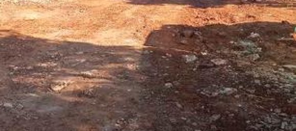 Terrain à Cadiz, Spain 500m² No. 187247 3