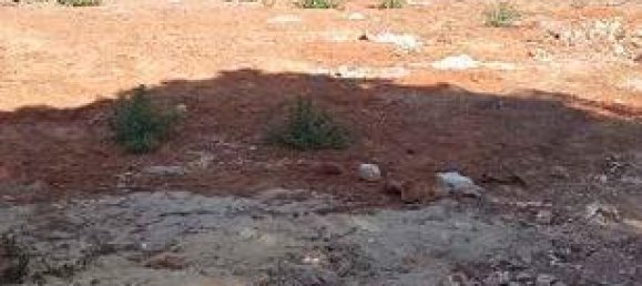 Terrain à Cadiz, Spain 500m² No. 187247 4