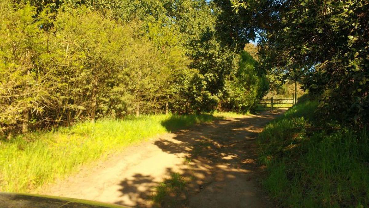  Land in Valparaiso, Chile No. 1170